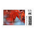 leader in red postage
