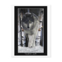LEADER OF THE PACK ~ Wolf Postcards by RavenSpiritPrints LEADER OF THE PACK ~ Wolf Postcards