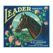 Leader Orange LabelCorona, CA Stretched Canvas Print