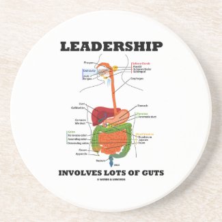 Leadership Involves Lots Of Guts (Anatomy) coaster