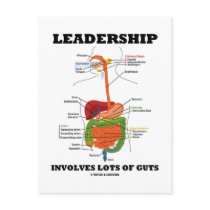 Leadership Involves Lots Of Guts (Digestive Humor) Postcards