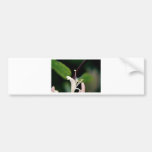 leading edge bumper sticker