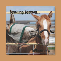 Leading lesson magnet magnets