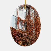 Leaf And Vine Covered Window Christmas Tree Ornaments