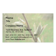 Leaf Burst Business Card