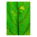 leaf business cards