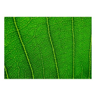 leaf profilecard