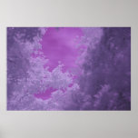 Leaf Canopy, Infrared Photo. 2010 posters