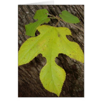Leaf cards