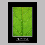 Leaf close-up Poster