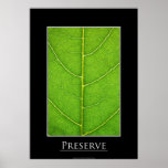 Leaf close-up Poster posters