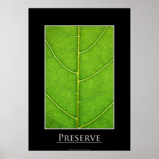 Leaf close-up Poster