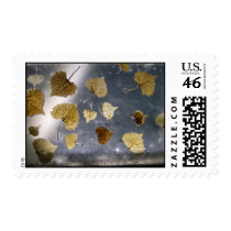 Leaf Collage postage stamp