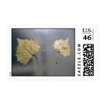 Leaf Collage postage stamp