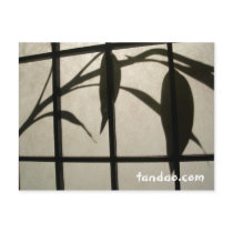 Leaf Composition postcards by tandao Leaf Composition postcards