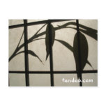 Leaf Composition Postcards