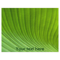 leaf custom flyer