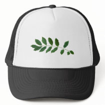 Leaf Fern Nature Party Pack hats