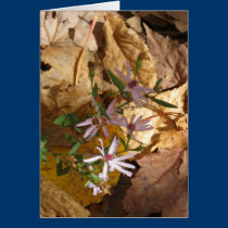 leaf & flower cards