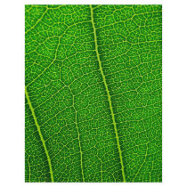 Leaf Flyer Design