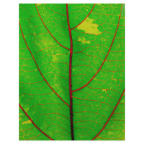 Leaf flyers