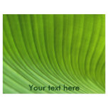 leaf flyers