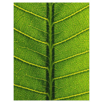 Leaf flyers