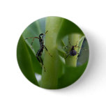 Leaf Footed Bug ~ button