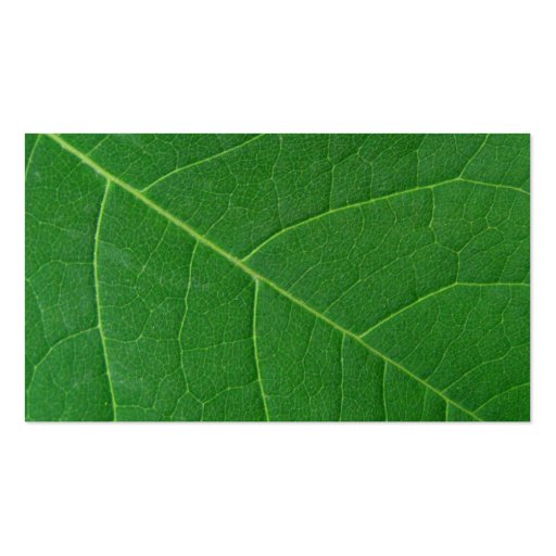 Leaf Green Close-up Photo Simple Business Cards (back side)