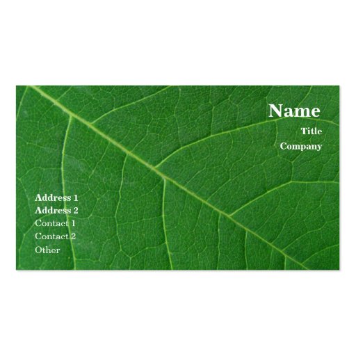 Leaf Green Close-up Photo Simple Business Cards