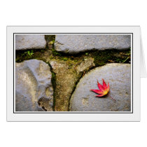 Leaf cards