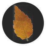 leaf III Stickers