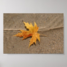 Leaf in Lake Poster