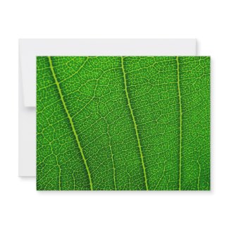 Leaf invitation