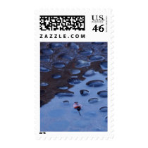 Leaf Leaves Reflection Puddles postage