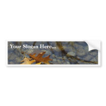 Leaf Leaves Streams Water Reflections bumper stickers by lifesphere Leaf Leaves Streams Water Reflections bumper stickers