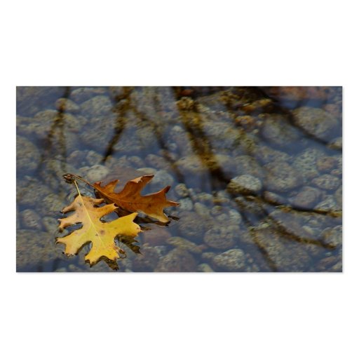Leaf Leaves Streams Water Reflections Business Card Templates (back side)