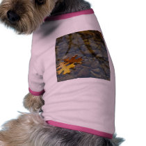 Leaf Leaves Streams Water Reflections pet clothing