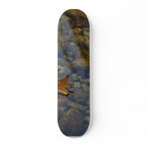 Leaf Leaves Streams Water Reflections skateboards by lifesphere Leaf Leaves Streams Water Reflections skateboards