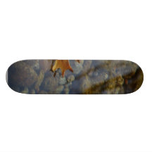 Leaf Leaves Streams Water Reflections Skateboards