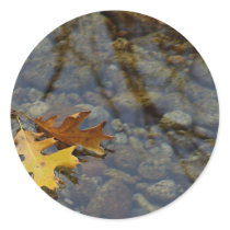 Leaf Leaves Streams Water Reflections stickers