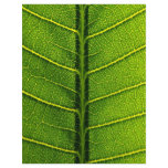 Leaf Customized Letterhead