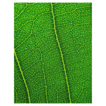 Leaf Letterhead Design