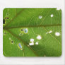 Leaf Macro Mousepad