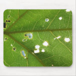Leaf Macro Mousepad
