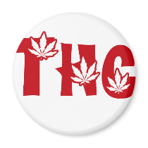 Leaf magnets