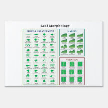 Leaf Morphology Chart Yard Signs