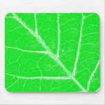 leaf mouse pad