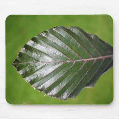 Leaf mousemat by Rett13