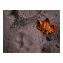 Leaf Next to Mountain Lion Footprint Poster